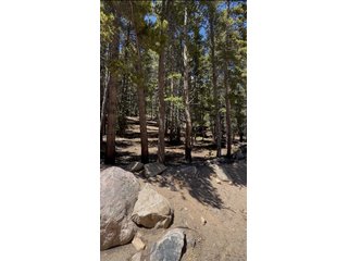 378 Alice Rd Idaho Springs, CO 80452