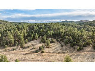 48 Alex Ct Cotopaxi, CO 81223