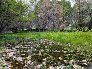 0 County Road 6 Coaldale, CO 81222