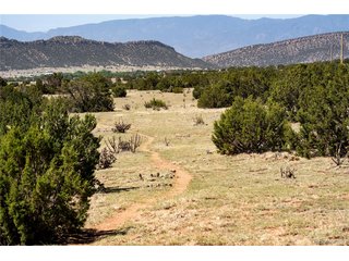 (TBD) County Road 132 Penrose, CO 81240