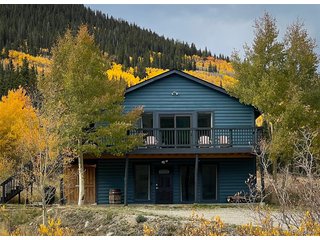 141 Quartzville Rd Alma, CO 80420