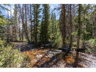 18990 Cr-294 Nathrop, CO 81236