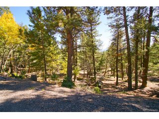 30402 Kings Vly E Conifer, CO 80433