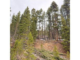 406 Glory Hole Rd Idaho Springs, CO 80452