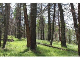 1650 Spruce Rd Cimarron, CO 81220