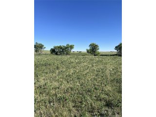27933 Private Road 139 Simla, CO 80835
