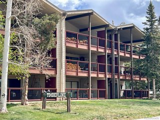 244 Lodgepole St 15 Dillon, CO 80435