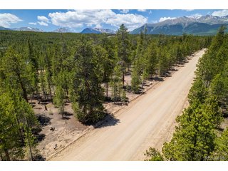 294 Peak View Dr Twin Lakes, CO 80461