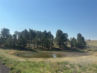 32147 Waylongood Pt Kiowa, CO 80117