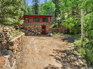 15916 S Elk Creek Rd Pine, CO 80470
