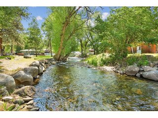 233 Brookdale Ave Buena Vista, CO 81211