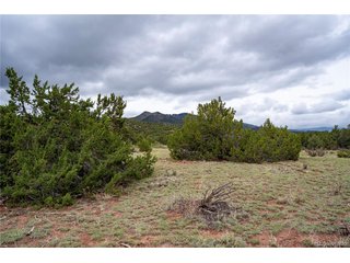 4 Iron Handle Rd Penrose, CO 81240