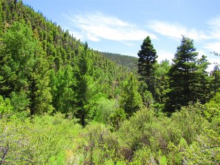 5526 Joy Rd Fort Garland, CO 81133