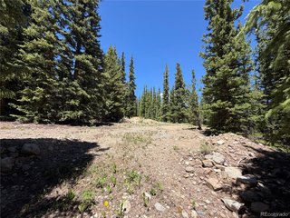 339 Silverheels Pl Fairplay, CO 80440