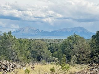 (TBD) Lot 17 Phase 3 Navajo Ranch Resort Walsenburg, CO 81089