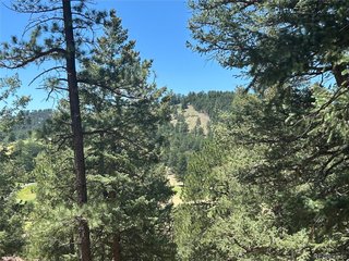0 Pine Rd Evergreen, CO 80439