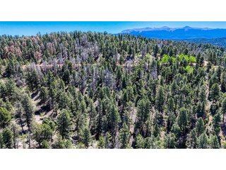 3454 N Mountain Estates Rd Florissant, CO 80816