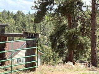 771 Moffat Dr Cripple Creek, CO 80813