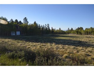 484 Wheat Way Way Fairplay, CO 80440