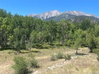 17573 Trout Cir Buena Vista, CO 81211
