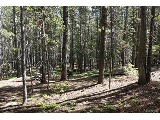 0 Upper Forest Rd Idaho Springs, CO 80452