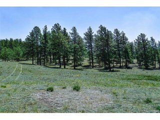 0 6th St Guffey, CO 80820