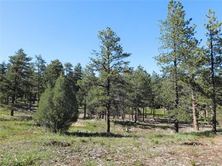 7514 Seminole Dr Larkspur, CO 80118