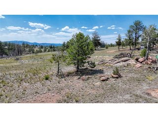 617 Chateau Vis Florissant, CO 80816
