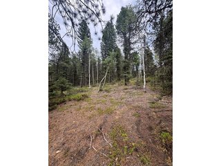 111 Elk Creek Dr Divide, CO 80814
