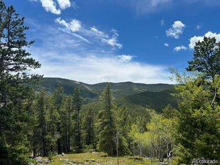3 Sunny Skies Trl Idaho Springs, CO 80452