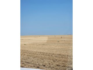 0 County Road 81 Roggen, CO 80652