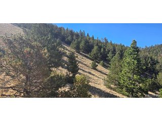 0 County Road 41g Center, CO 81125