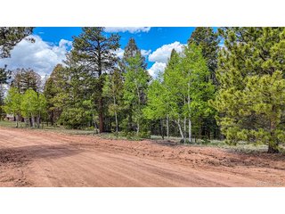26 N Eldorado Cir Florissant, CO 80816