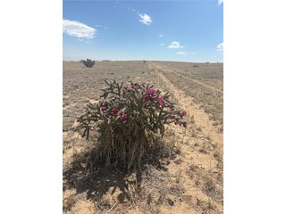 10 Cuerno Verde Ranches Walsenburg, CO 81089