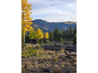 0 Frank C Idaho Springs, CO 80452