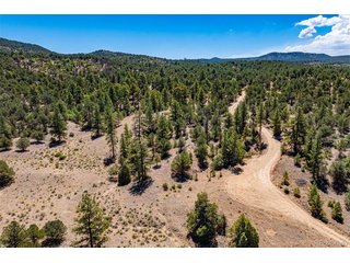 948 White Wing Way Cotopaxi, CO 81223