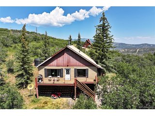 15699 Aspen Glenn Ln Collbran, CO 81624