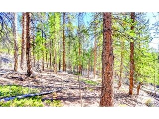 2222 Swift Claim Rd Georgetown, CO 80444
