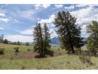 730 Cliff View Dr Creede, CO 81130
