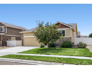 331 Torreys Dr Windsor, CO 80550