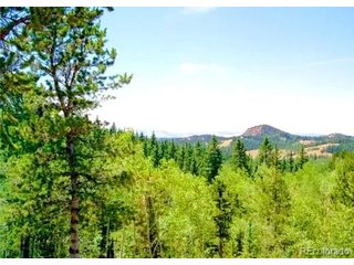 111 CO 67 Cripple Creek, CO 80813