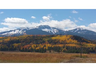 59045 Button Willow Dr Clark, CO 80428