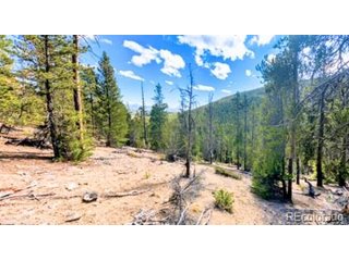 111 Kevin Gulch Rd Leadville, CO 80461