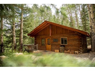 1001 CR 17 Aspen Cabin Lake City, CO 81235