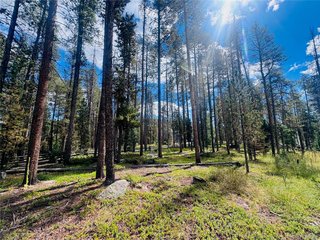 (TBD) Lot 2M Vickery Ave Conifer, CO 80433