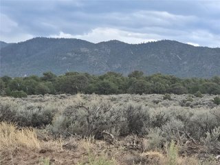 1047 Lee Way Fort Garland, CO 81123