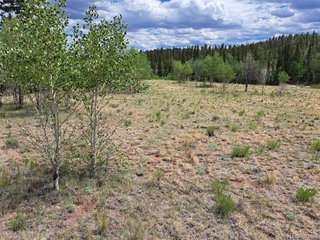 6242 Remington Rd Como, CO 80432
