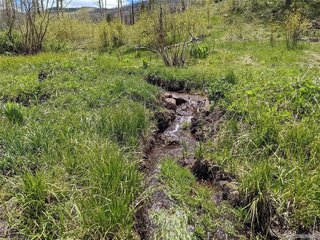 951 Van Fossan Lane Fort Garland, CO 81133