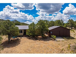 356 Iron Mountain Ln Cotopaxi, CO 81223