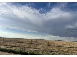 (TBD) TBD County Road 96 Pierce, CO 80650